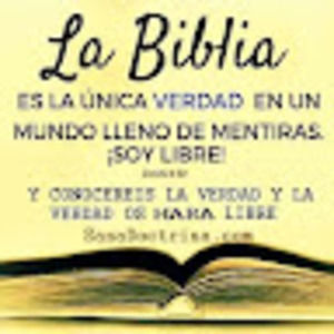 Meet your Posher, Mery